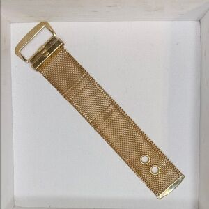 Goldtone Vintage Buckle Mesh Bracelet